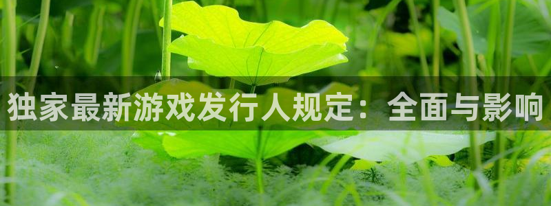 门徒平台注册登陆失败原因：独家最新游戏发行人规定：全面与影响