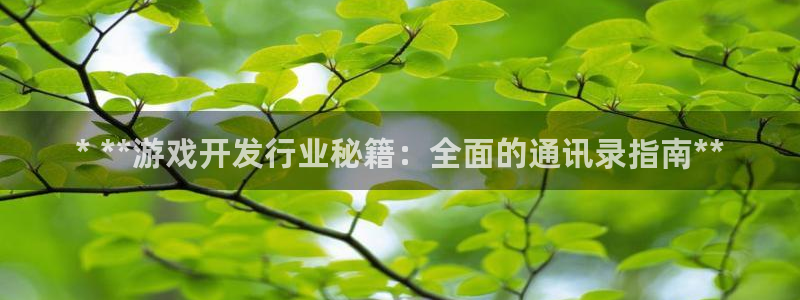 门徒平台开户怎么开的：* **游戏开发行业秘籍：全面的通讯录指南**