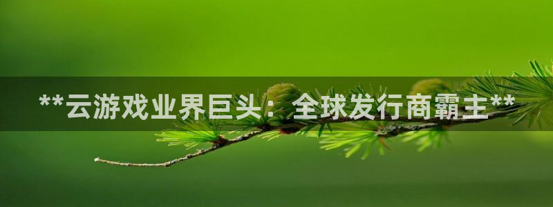 门徒平台测速登入：**云游戏业界巨头：全球发行商霸主**