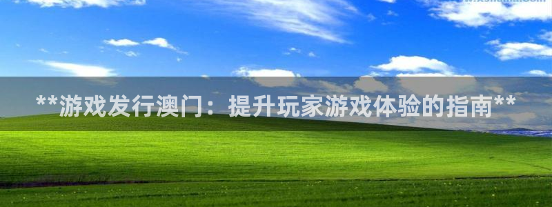 门徒娱乐注册官网入口：**游戏发行澳门：提升玩家游戏体验的指南**