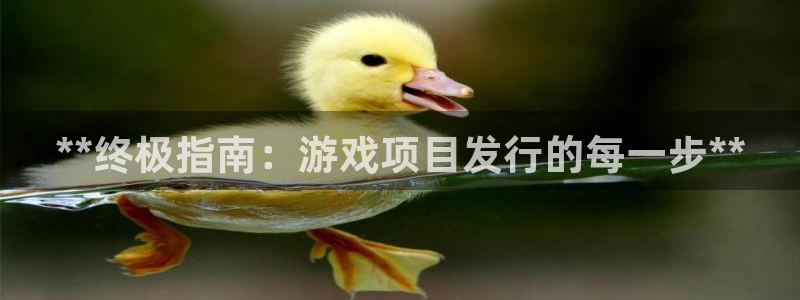 门徒平台登录注册：**终极指南：游戏项目发行的每一步**