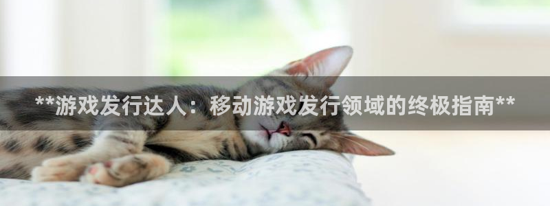 门徒娱乐分分彩：**游戏发行达人：移动游戏发行领域的终极指南**