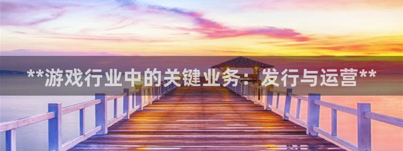 门徒娱乐平台登录入口：**游戏行业中的关键业务：发行与运营**