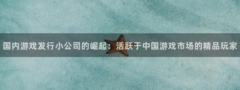 门徒平台和盛煌平台区别：国内游戏发行小公司的崛起：活跃于中国游戏市场的精品玩家