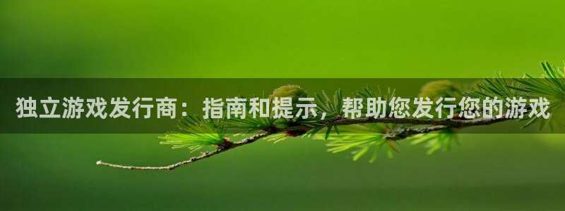 门徒在哪个平台可以看：独立游戏发行商：指南和提示，帮助您发行您的游戏