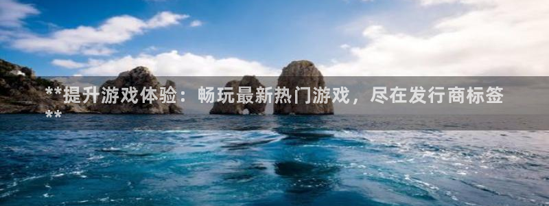 门徒平台注册登陆不上怎么办：**提升游戏体验：畅玩最新热门游戏，尽在发行商标签
**