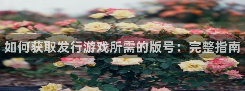 门徒娱乐注册登录地址：如何获取发行游戏所需的版号：完整指南