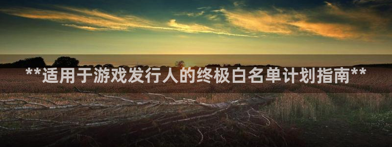 门徒平台注册登录站：**适用于游戏发行人的终极白名单计划指南**