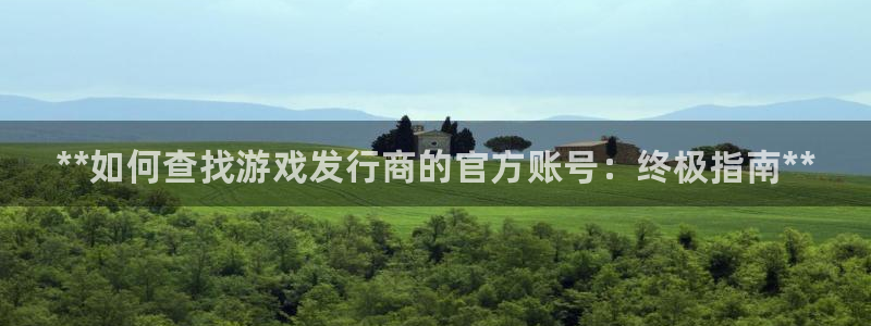 门徒平台注册登陆失败怎么回事：**如何查找游戏发行商的官方账号：终极指南**