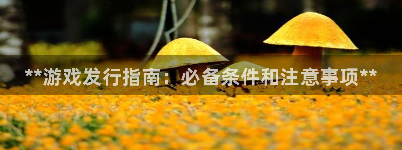 门徒娱乐app代理加盟：**游戏发行指南：必备条件和注意事项**