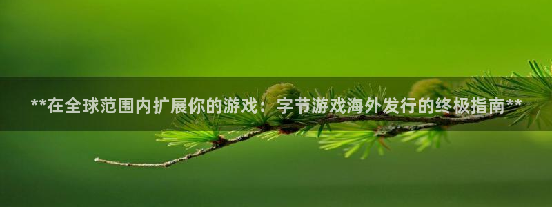 门徒平台云 411o31 门徒：**在全球范围内扩展你的游戏：字节游戏海外发行的终极指南**
